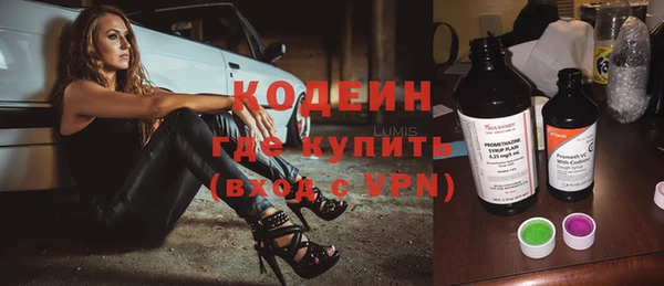 индика Алексин