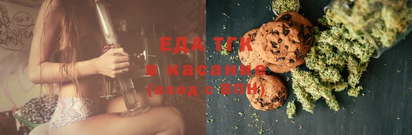 индика Алексин