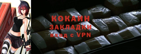 индика Алексин