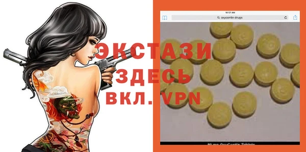 индика Алексин