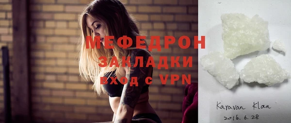 индика Алексин