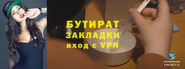 индика Алексин