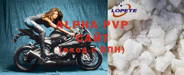 индика Алексин
