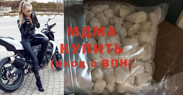 индика Алексин