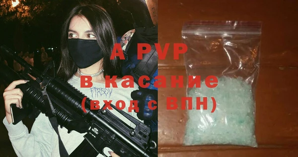 индика Алексин