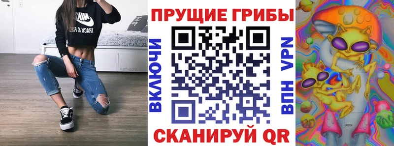 Галлюциногенные грибы мицелий  Багратионовск 